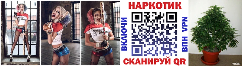 Как найти закладки Белорецк Галлюциногенные грибы  Мефедрон  Каннабис  Alpha-PVP 