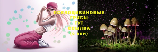 PSILOCYBIN Алзамай