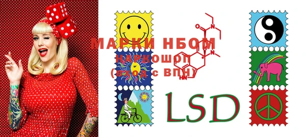 PSILOCYBIN Алзамай