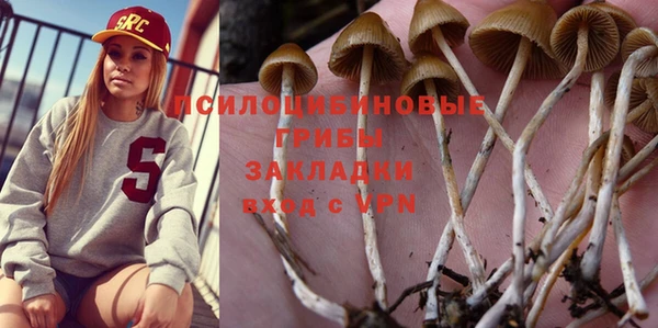 круглые Аркадак