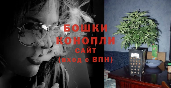 PSILOCYBIN Алзамай